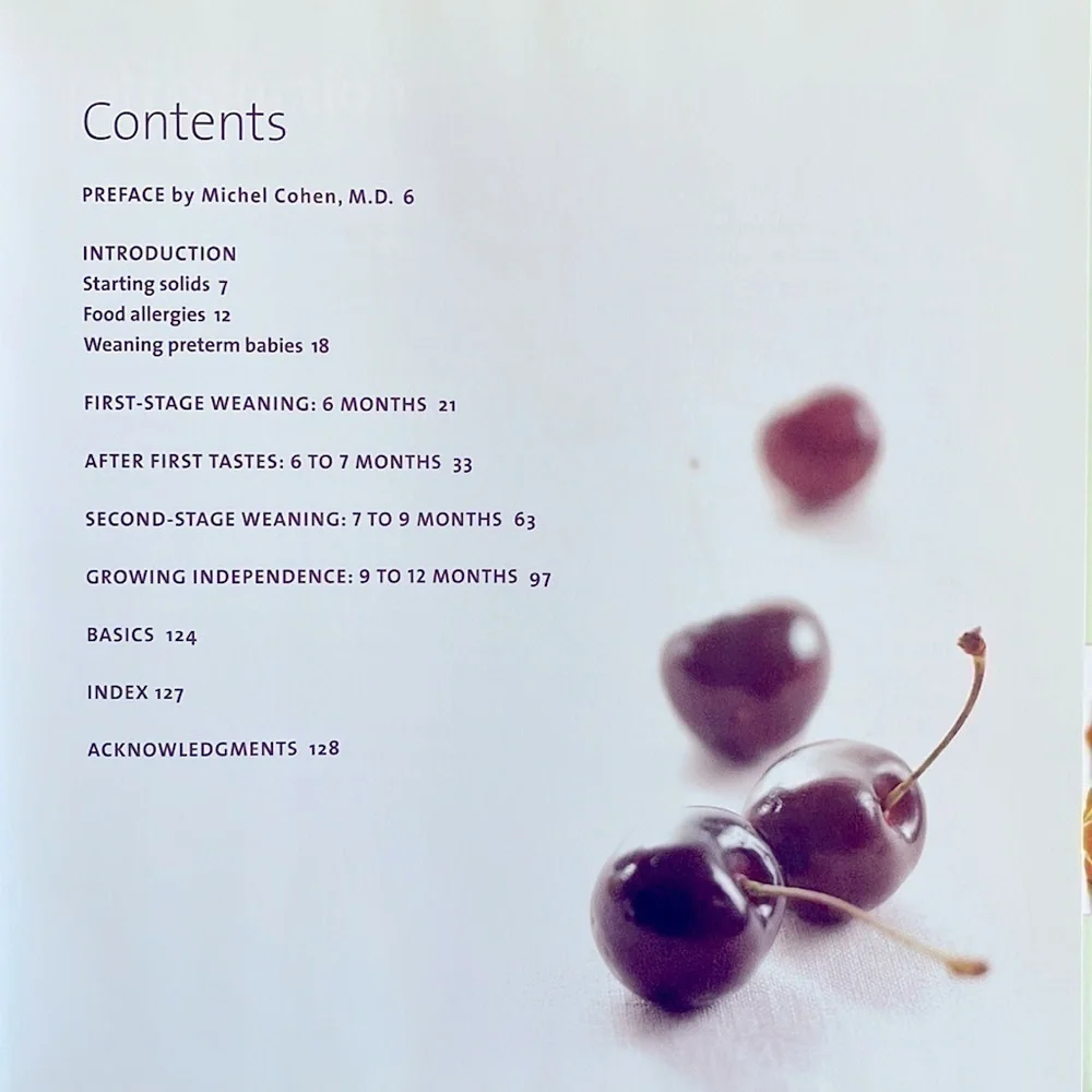 🟢 3/$15 “Top 100 Baby Purées” by Annabel Karmel